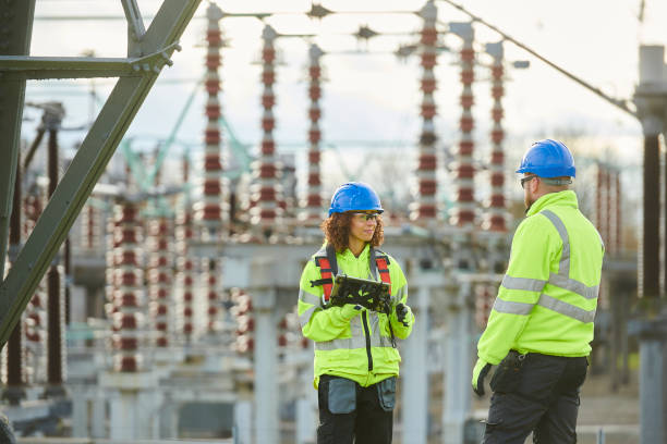 Best Electric Panel Repair  in Lely Resort, FL