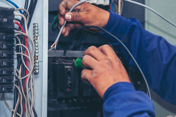 Best Local Electrician Companies  in Lely Resort, FL